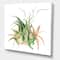 Designart - Tropical Leaves Air Plant Succulent - Farmhouse Canvas Wall Art Print
